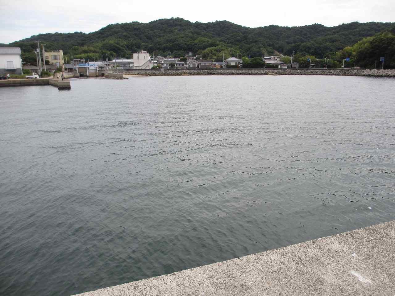 香川県,海釣り,ポイント,小田浦漁港